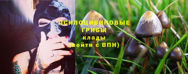 бошки Алексеевка
